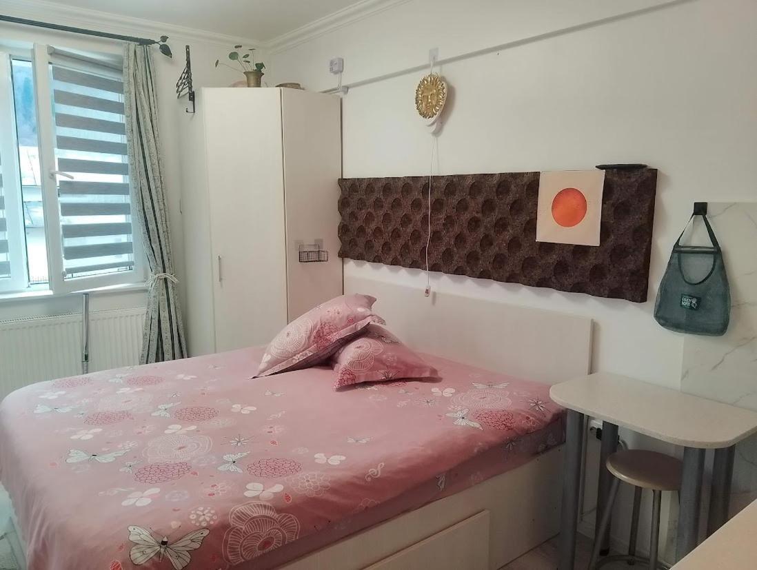 1 Small Studio, Central, Self Check In Sinaia Zewnętrze zdjęcie